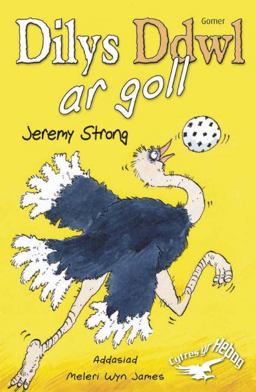 Cyfres Yr Hebog: Dilys Ddwl Ar Goll