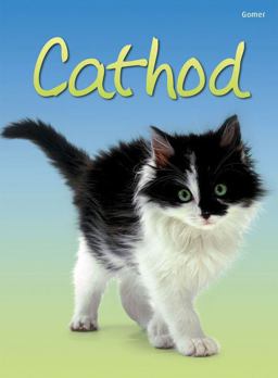 Cyfres Dechrau Da: Cathod