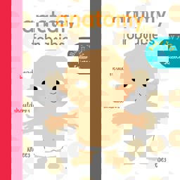 Anatomy for Babies  9781848577374 Front Cover