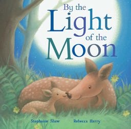 By the Light of the Moon  9781848691841 Front Cover