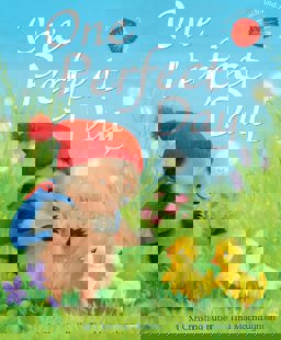 One Perfect Day  9781848698338 Front Cover