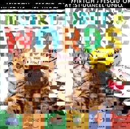 Noisy First Words My First Touch and Feel Sound Book  9781848698499 Front Cover