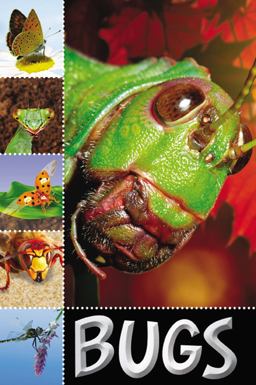 Bugs