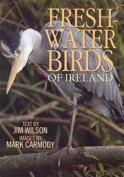 Freshwater Birds of Ireland