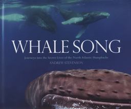 Whale Song