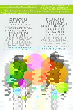 Promoting Public Mental Health and Well-Being Principles into Practice  9781849055673 Front Cover