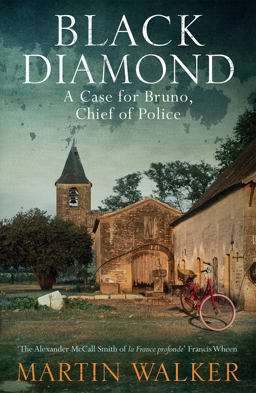 Black Diamond 2011 9781849161237 Front Cover