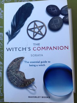 Witch's Companion  9781849340854 Front Cover