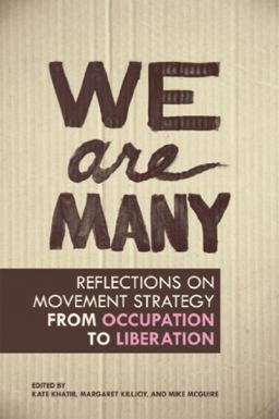 We Are Many Reflections on Movement Strategy from Occupation to Liberation  9781849351164 Front Cover