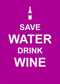 Save Water Drink Wine  9781849532693 Front Cover