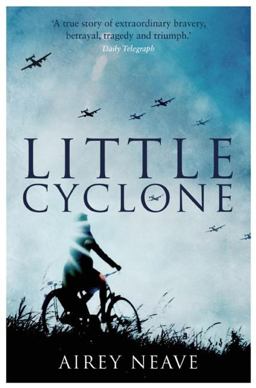 Little Cyclone  9781849549608 Front Cover