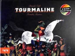Tourmaline (Hardback)