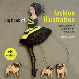 Big Book of Fashion Illustration (Mini Edition) 2014 9781849941389 Front Cover