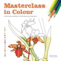 Masterclass in Colour A Colouring Workbook of Techniques and Inspiration  9781849944250 Front Cover