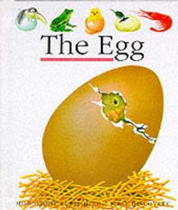 Egg