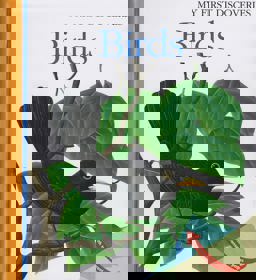 Birds  9781851033973 Front Cover