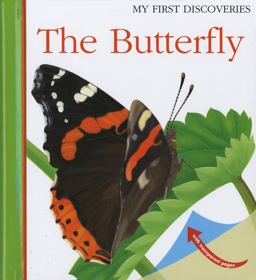 Butterfly  9781851034048 Front Cover