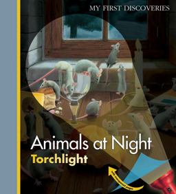 Animals at Night  9781851034130 Front Cover