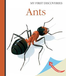 Ants  9781851034321 Front Cover