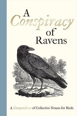Conspiracy of Ravens A Compendium of Collective Nouns for Birds  9781851244096 Front Cover