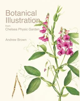 Botanical Illustration from Chelsea Physic Garden:  9781851497966 Front Cover
