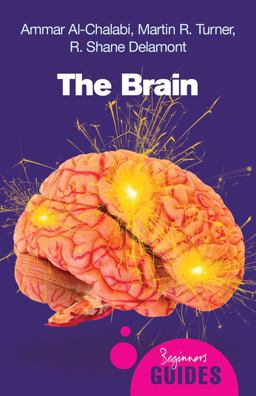 Brain A Beginner's Guide 2nd 9781851685943 Front Cover