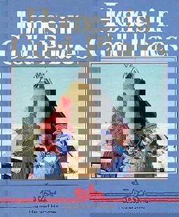 Homes in Cold Places