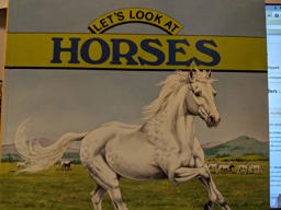 Let's Look at Horses