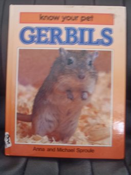 Gerbils