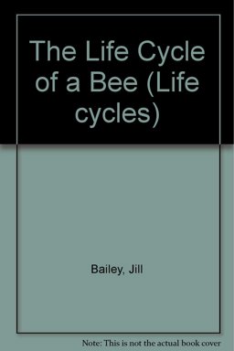 The Life Cycle of a Bee