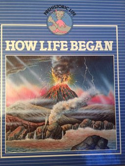 How Life Began