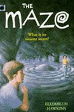 Maze