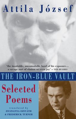 Iron-Blue Vault Selected Poems  9781852245030 Front Cover