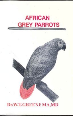 African Grey Parrots