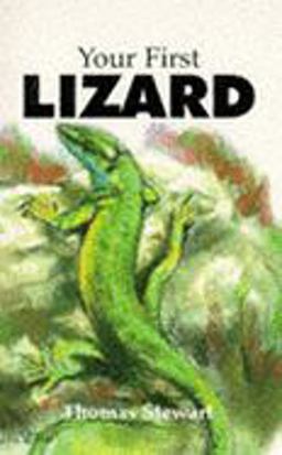 Your First Lizard Your First Lizard