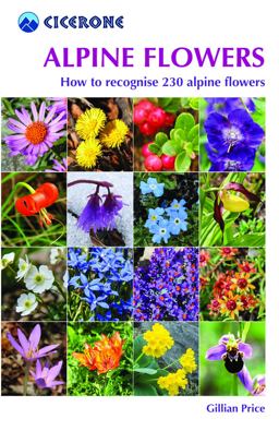 Alpine Flowers How to Recognize over 200 Alpine Flowers  9781852845650 Front Cover