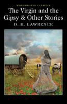 Virgin and the Gipsy and Other Stories  9781853261954 Front Cover