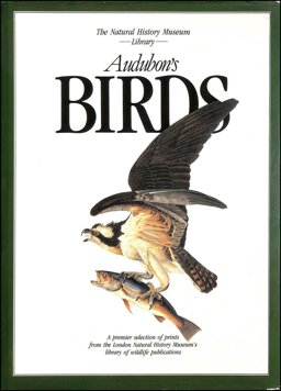 Audubon's Birds