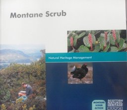 Montane Scrub