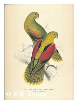 The Collector's Portfolio of Lear's Birds