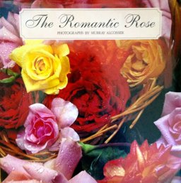 The Romantic Rose