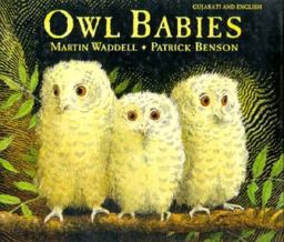 Owl Babies