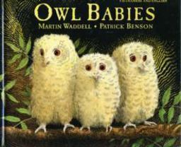 Owl Babies