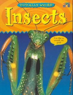 Insects