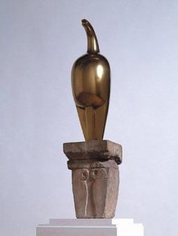 Constantin Brancusi