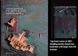 Morphosis Connected Isolation