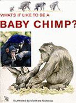 Baby Chimp
