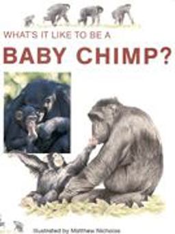 Baby Chimp