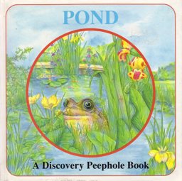 Pond