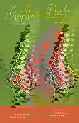 Butterflies  9781855843752 Front Cover